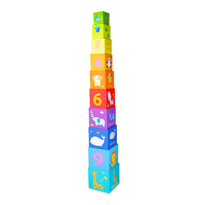 Classic World Stacking Cubes | Educational Toys