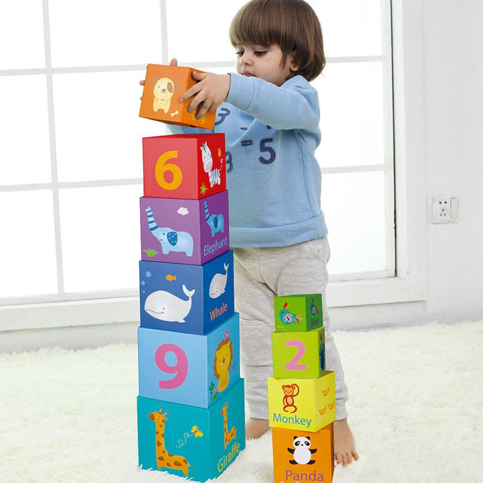 Classic World Stacking Cubes | Educational Toys