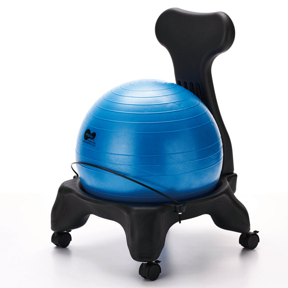 Adult Ball Chair | Educational Toys