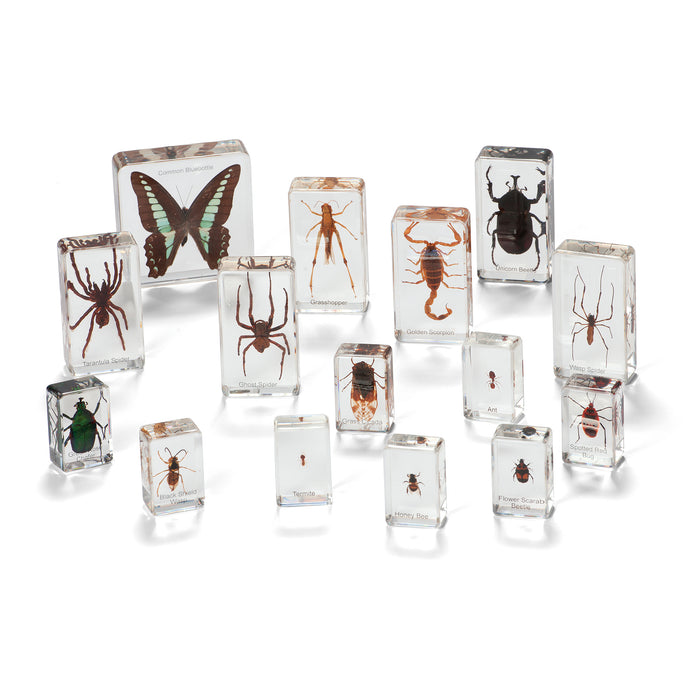 MINI BEASTS INSECTS AND SPIDERS (LARGE SET) | Educational Toys