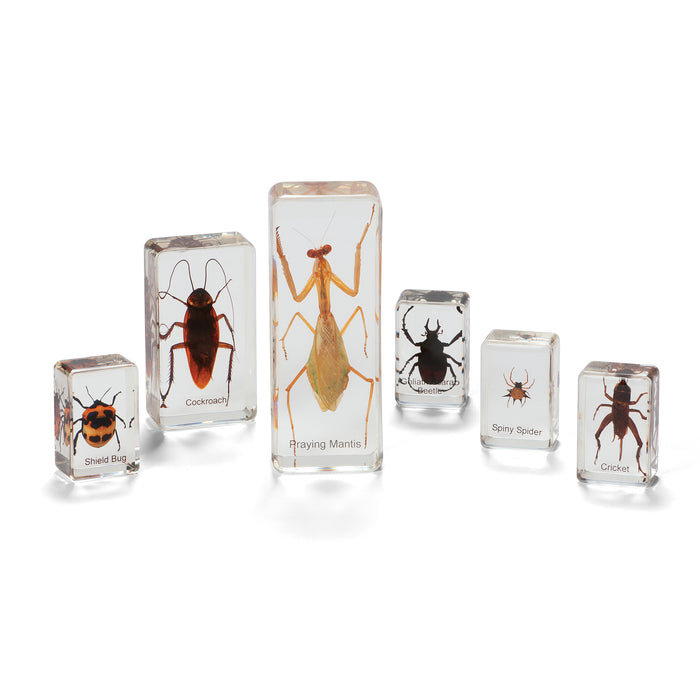 MINI BEASTS INSECTS AND SPIDERS (SMALL SET)