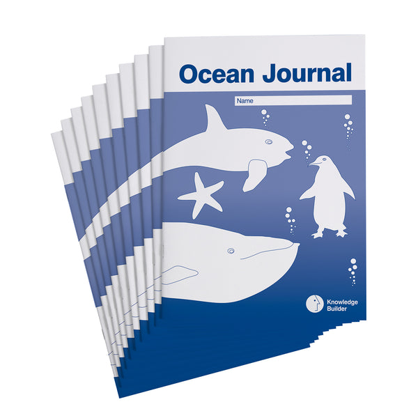 Ocean Journals (Set of 10) - Reduced To Clear!