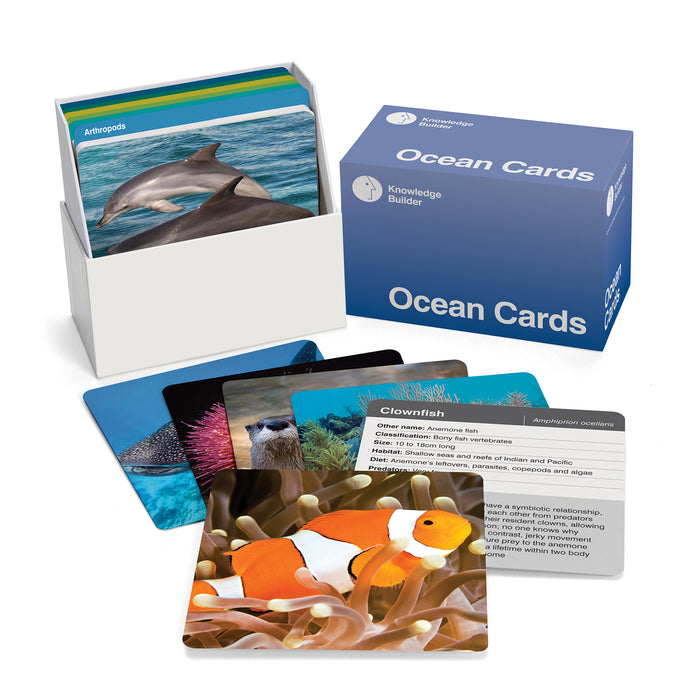 OCEAN CARDS