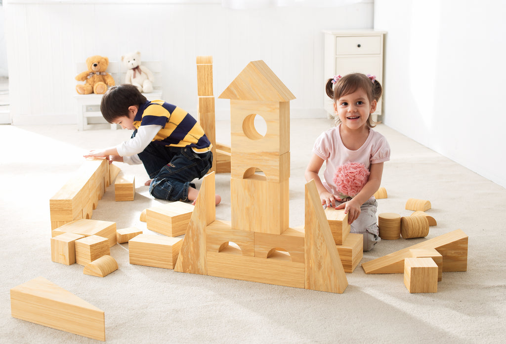 Construction toys | Building Blocks | Educational Toys