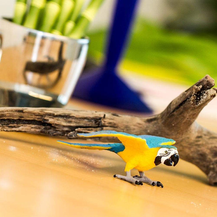 Safari Blue & Gold Macaw | Educational Toys